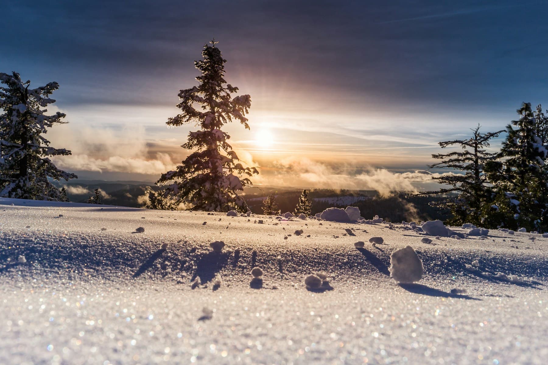 Verschneiter Wald im stillen Licht des finnischen Winters
